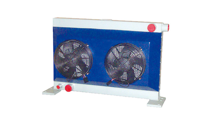 ��������е